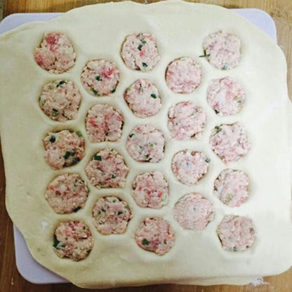 Dumpling Artifact 23